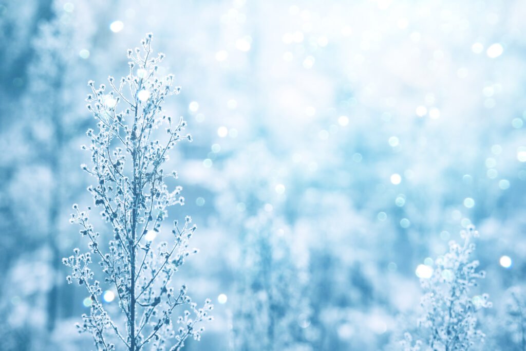 Alerta por frío y nevadas en Argentina