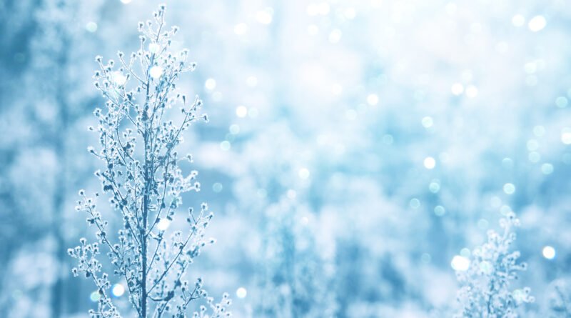 Alerta por frío y nevadas en Argentina