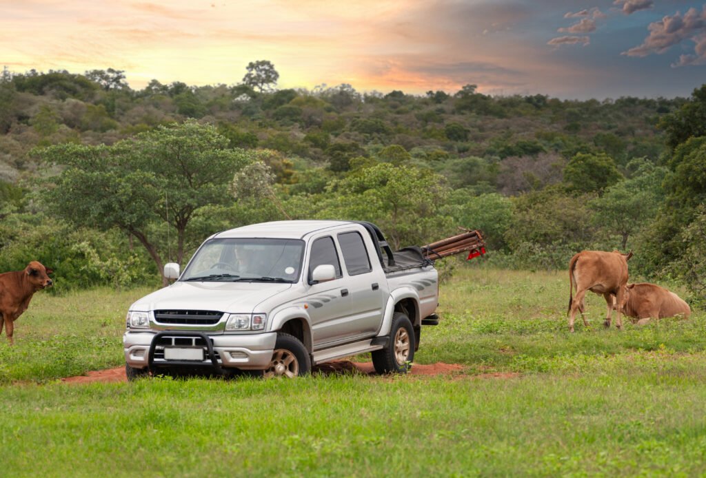 Pick-up 4x4 trabajando en un campo con ganado que ilustra la Amarok V6 Unlimited