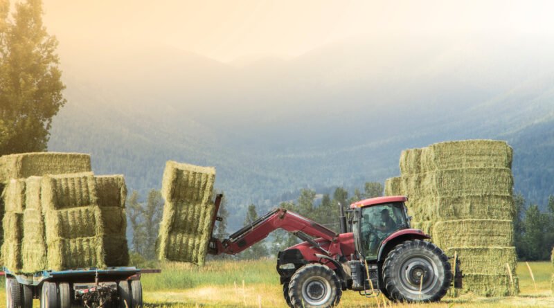 Fiat Titano: labores en el campo con maquinaria agrícola y fardos de pasto