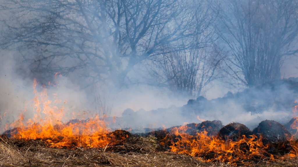 incendio en Jujuy: fuego avanzando sobre los cerros y pastizales de la montaña