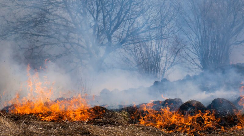 incendio en Jujuy: fuego avanzando sobre los cerros y pastizales de la montaña