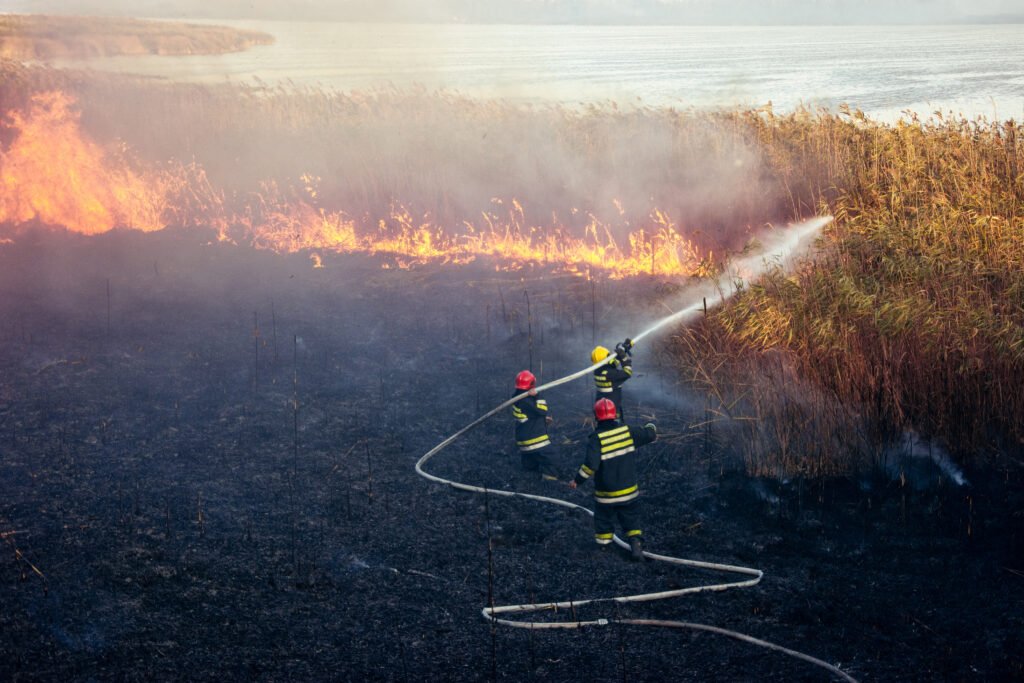 Incendios en La Rioja: brigadistas combaten un incendio forestal