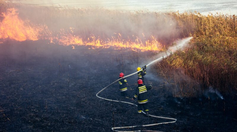 Incendios en La Rioja: brigadistas combaten un incendio forestal