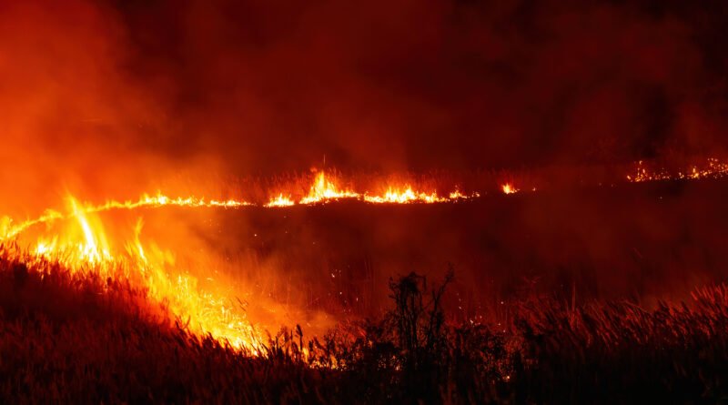 incendios en La Rioja: fuego avanzando sobre pastizales y árboles de noche