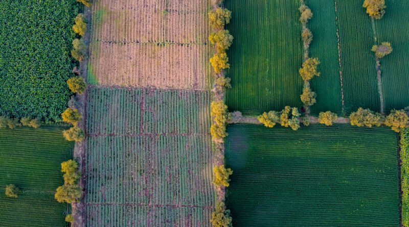 Vista aérea de campos rurales que ilustra la reforma de la Ley de Tierras