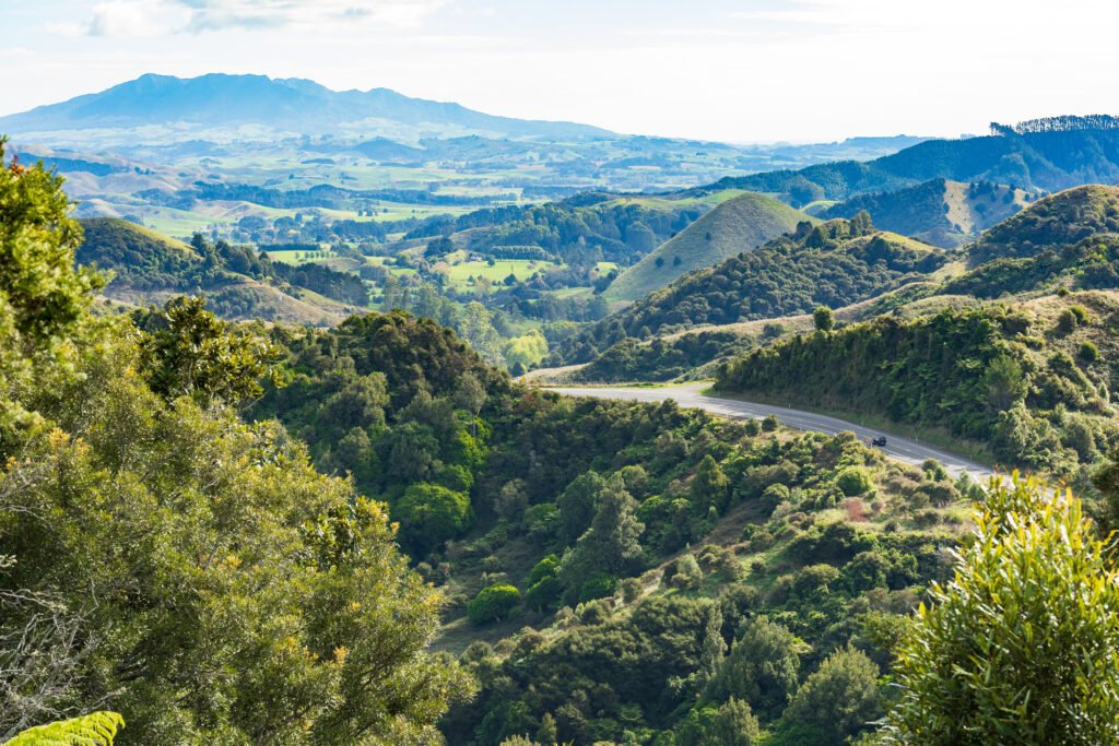 Paisaje rural de Nueva Zelanda que acompaña la nota sobre la muerte de Sam Neill