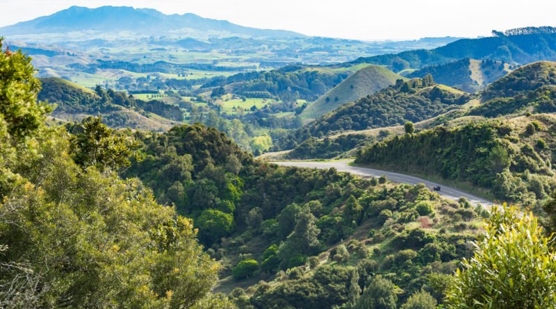 Paisaje rural de Nueva Zelanda que acompaña la nota sobre la muerte de Sam Neill