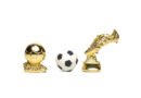 Trofeo y pelota dorados que ilustran los premios de la AFA