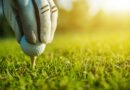 Pelota de golf sobre el tee que ilustra la promesa de Tom Holland