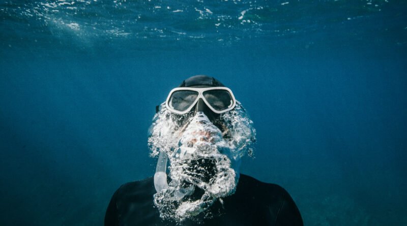 caída de la ballena: buzo bajo el agua en el océano