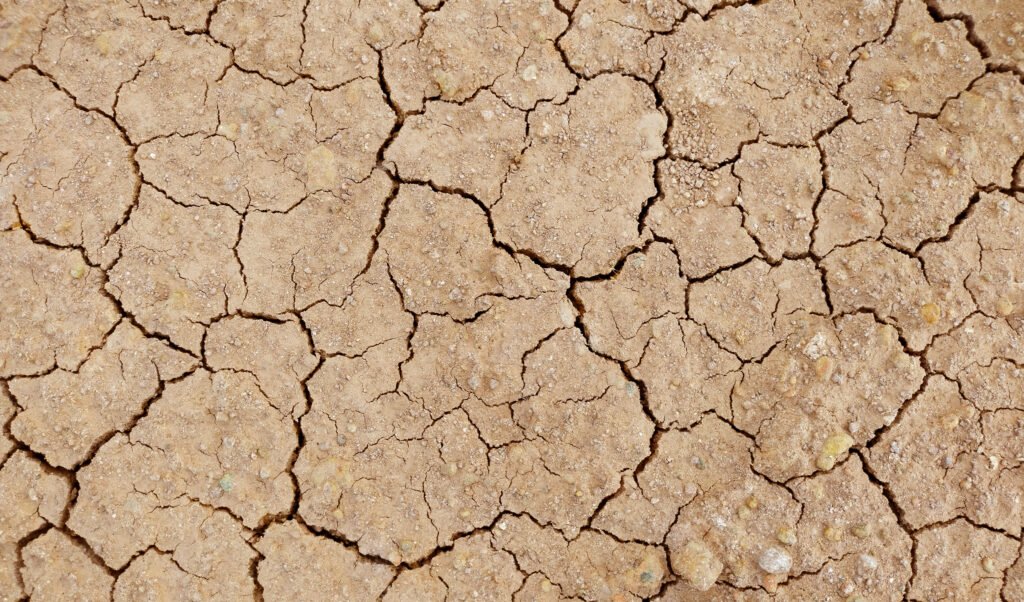 daño ambiental en San Juan: planicie desértica de tierra agrietada