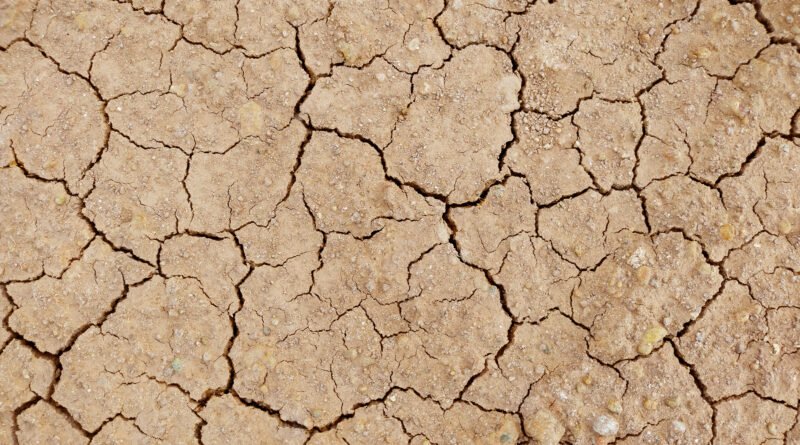 daño ambiental en San Juan: planicie desértica de tierra agrietada