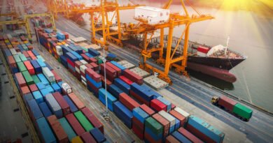 exportaciones récord: grúa cargando contenedores en un buque de carga