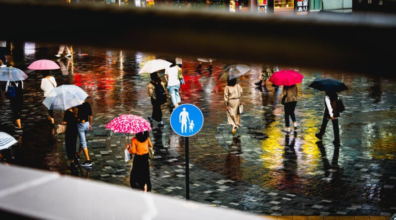 frío y lluvias: gente con paraguas caminando bajo la lluvia