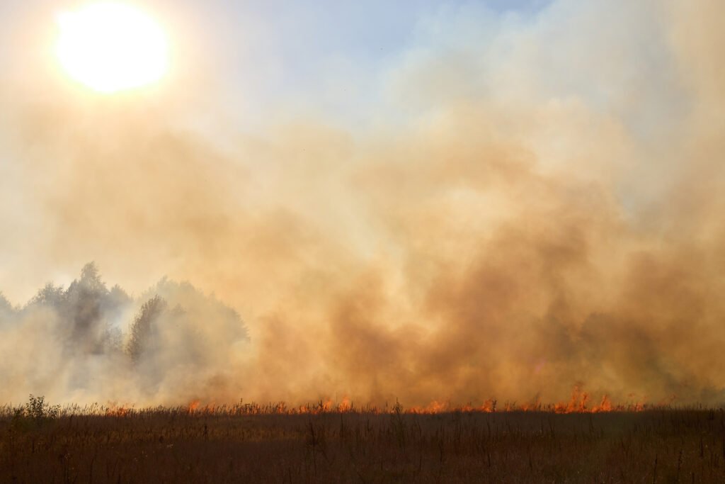 incendios en Jujuy: llamas y humo avanzando sobre un campo seco