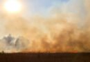 incendios en Jujuy: llamas y humo avanzando sobre un campo seco
