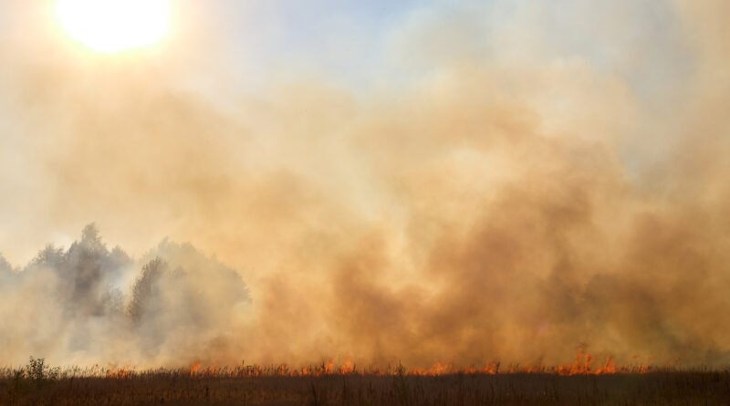 incendios en Jujuy: llamas y humo avanzando sobre un campo seco