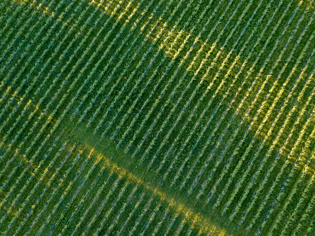 Ley de Tierras: vista aérea de campos y tierras rurales de cultivo