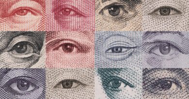 mercados argentinos: billetes de dólar y otras monedas del mundo