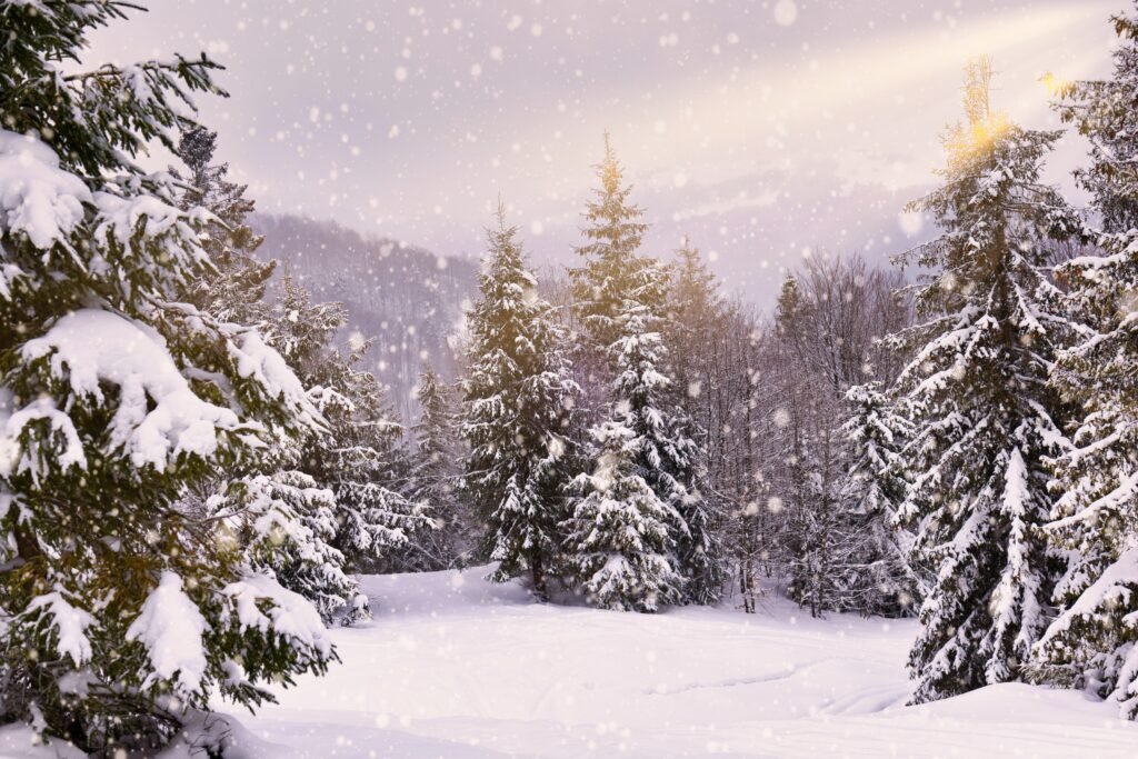 Ola polar: paisaje invernal nevado con frío extremo