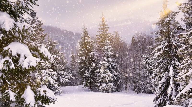 Ola polar: paisaje invernal nevado con frío extremo