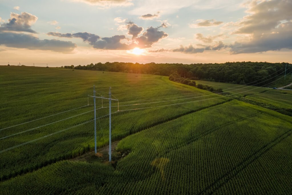 Región Centro: torres de alta tensión sobre campos agrícolas