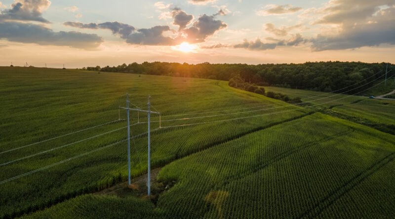 Región Centro: torres de alta tensión sobre campos agrícolas