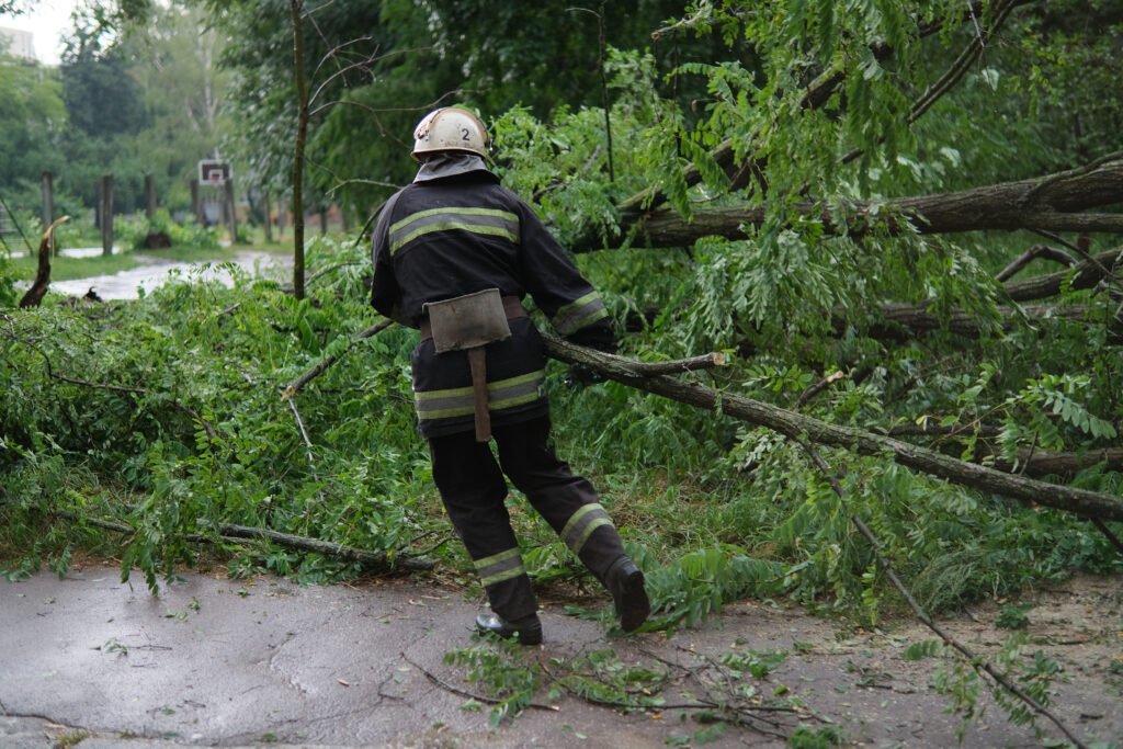 temporal en el AMBA: operarios retiran un árbol caído sobre autos tras la tormenta