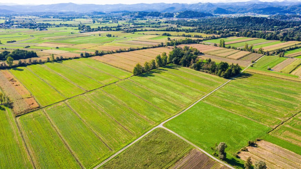 Venta de tierras a extranjeros: campos rurales vistos desde el aire