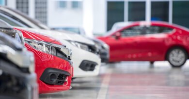 Ventas de autos: hilera de autos 0km nuevos listos para la venta