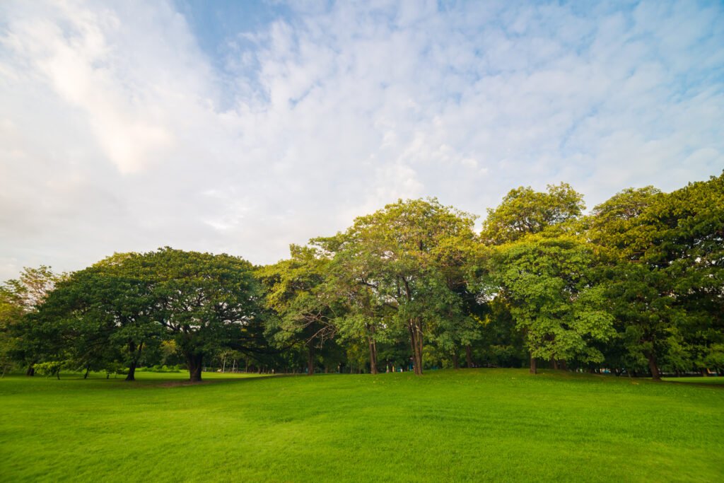 clima en Buenos Aires: parque con árboles en un día de primavera