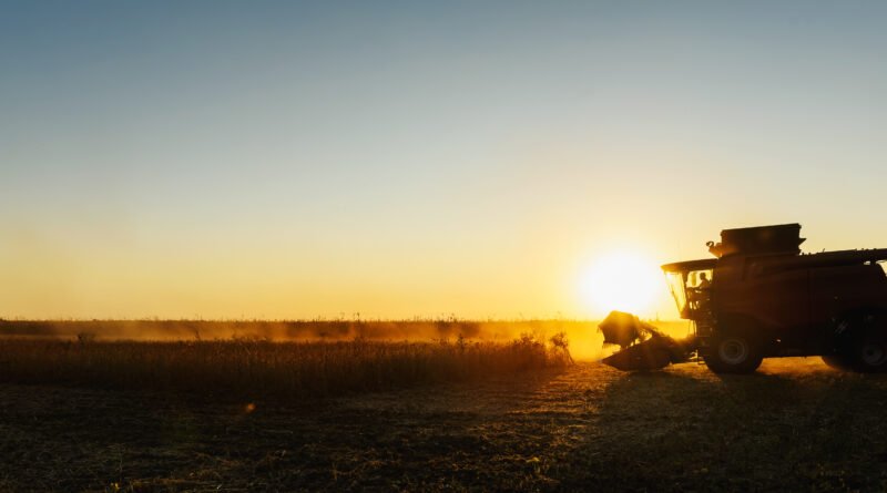 exportaciones del agro: cosechadora trabajando en un campo de soja al atardecer