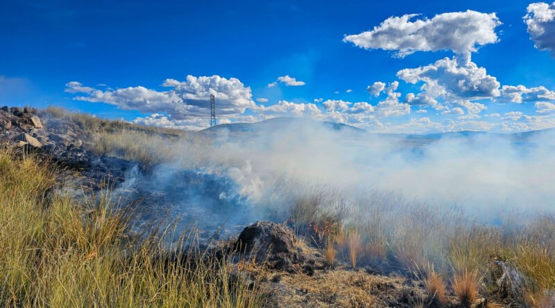 incendios en Córdoba: fuego de pastizal con humo en un día soleado