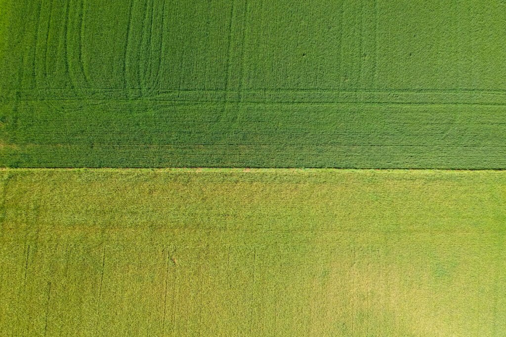 Ley de Tierras: vista aérea de campos agrícolas argentinos