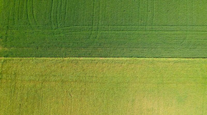 Ley de Tierras: vista aérea de campos agrícolas argentinos