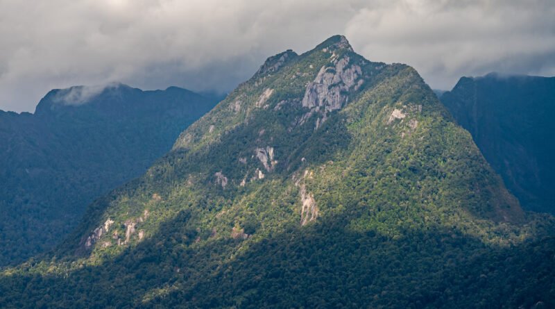 temporal en Neuquén: montaña boscosa patagónica bajo cielo nublado