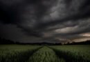 alerta por tormentas: nubes negras de tormenta sobre un campo verde