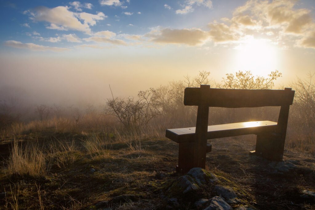caída de la natalidad: banco solitario en un paisaje al atardecer