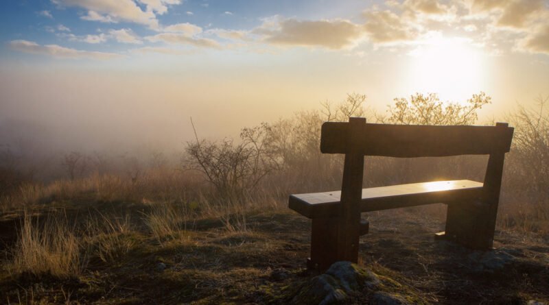 caída de la natalidad: banco solitario en un paisaje al atardecer