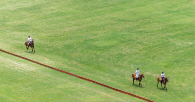Chechu Bonelli: jugadores de polo a caballo en una cancha