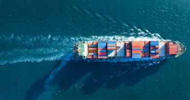 exportaciones récord: buque de carga con contenedores en un puerto