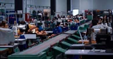 Industria del calzado: línea de producción en una fábrica