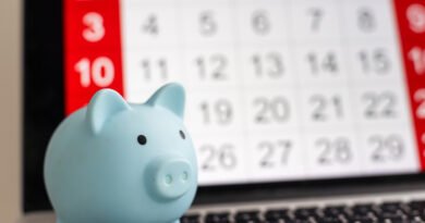 jubilaciones de noviembre: alcancía sobre un calendario de pagos