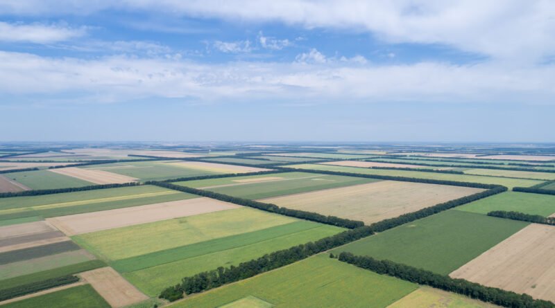 vista aérea de campos agrícolas, Ley de Tierras