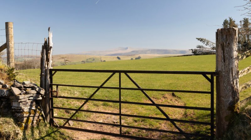 ley de tierras: alambrado y campo rural