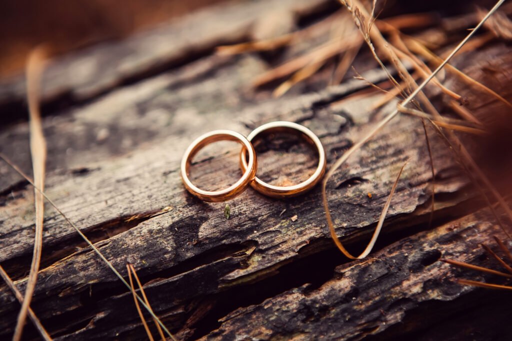 dos anillos sobre una mesa, Lourdes Sánchez
