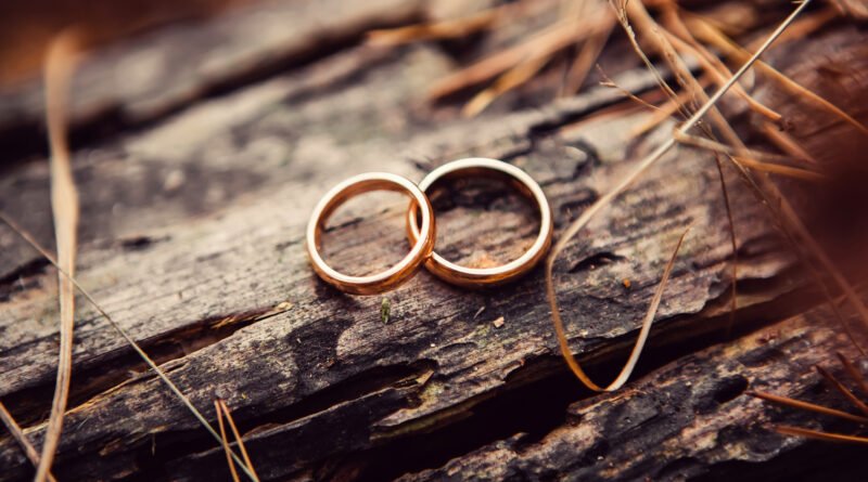 dos anillos sobre una mesa, Lourdes Sánchez