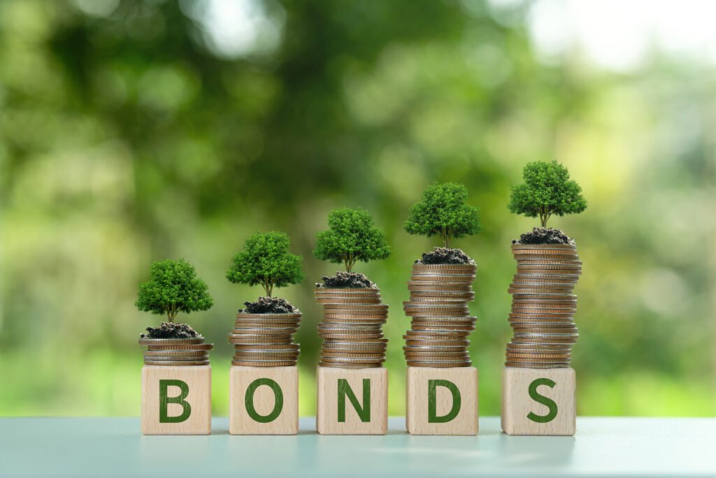 riesgo país: bonos y certificados financieros de inversión