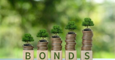 riesgo país: bonos y certificados financieros de inversión